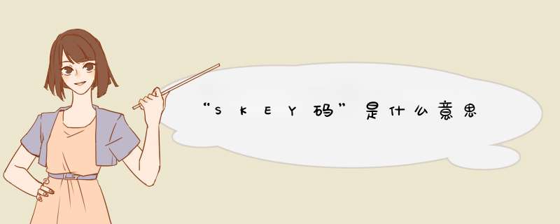 “SKEY码”是什么意思,第1张