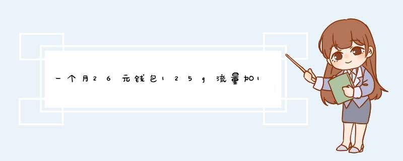 一个月26元钱包125g流量加100分钟通话是什么卡,第1张