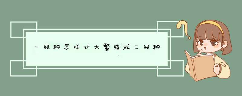 一级种怎样扩大繁殖成二级种,第1张