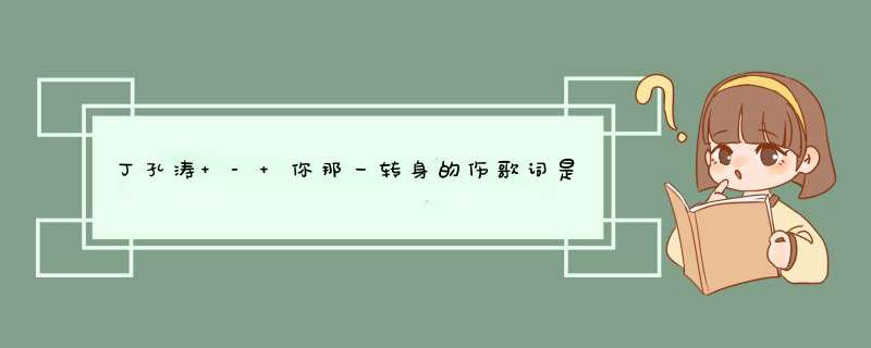 丁孔涛 - 你那一转身的伤歌词是什么?,第1张