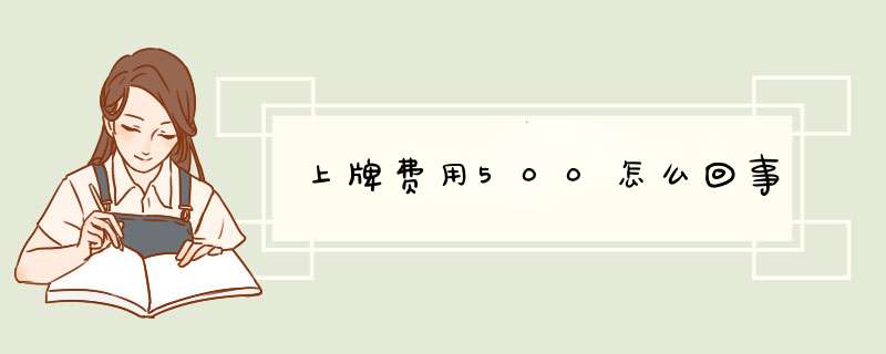 上牌费用500怎么回事,第1张