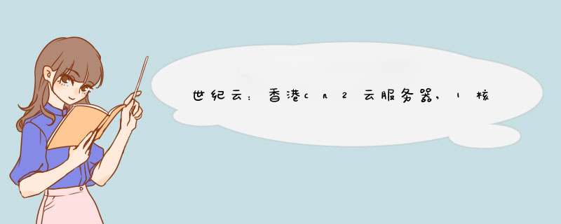 世纪云：香港cn2云服务器,1核1G2M仅8元首月,201.6元年;香港高防vps仅70元首月,第1张