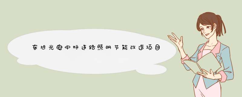 东旭光电中标道路照明节能改造项目，总额逾4600万元,第1张