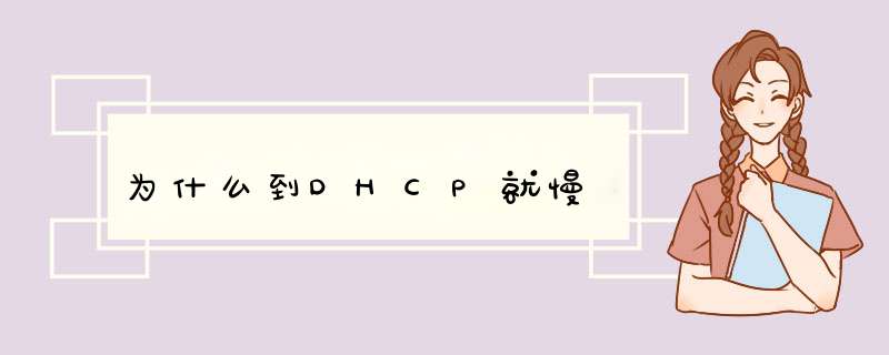 为什么到DHCP就慢,第1张