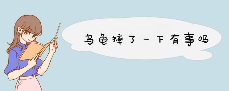 乌龟摔了一下有事吗,第1张