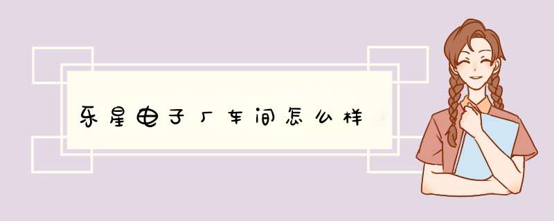 乐星电子厂车间怎么样,第1张