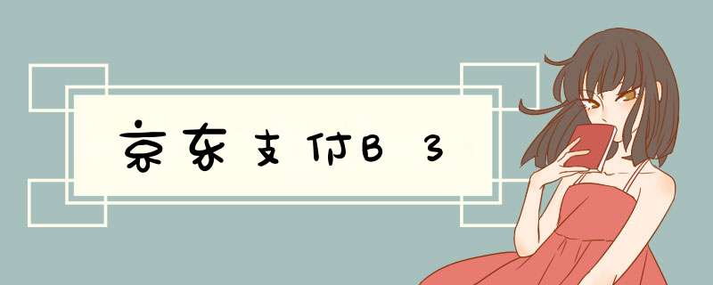 京东支付B3,第1张