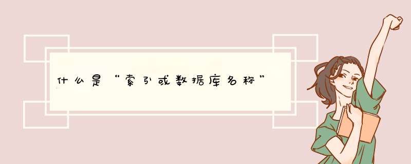 什么是“索引或数据库名称”,第1张