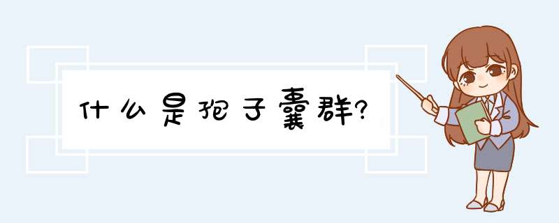 什么是孢子囊群?,第1张