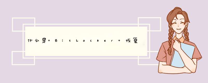 什么是 BitLocker 恢复密钥？,第1张