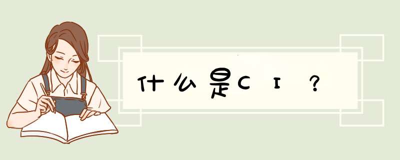 什么是CI？,第1张