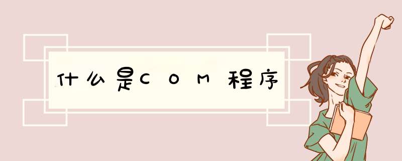 什么是COM程序,第1张