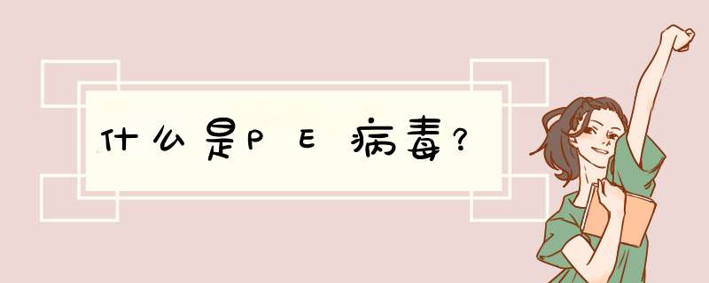 什么是PE病毒？,第1张