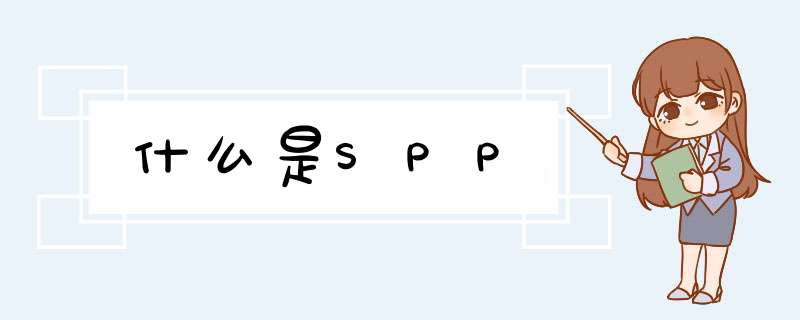 什么是SPP,第1张