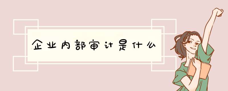 企业内部审计是什么,第1张