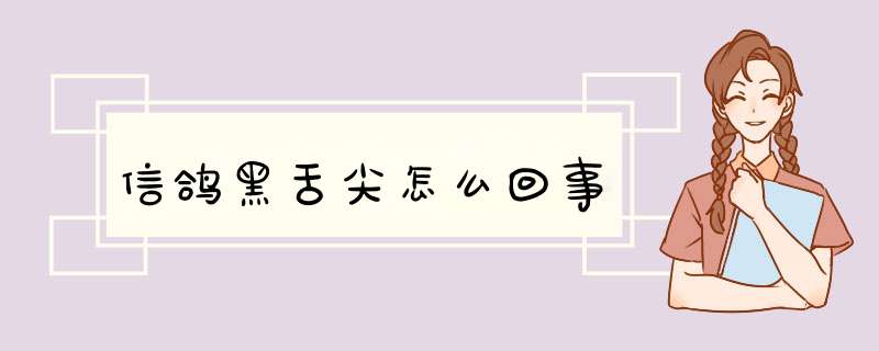 信鸽黑舌尖怎么回事,第1张