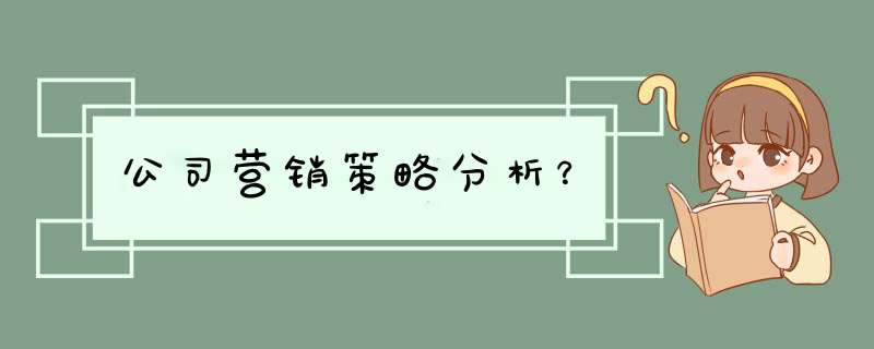 公司营销策略分析？,第1张