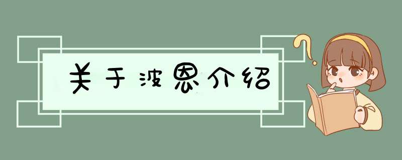 关于波恩介绍,第1张