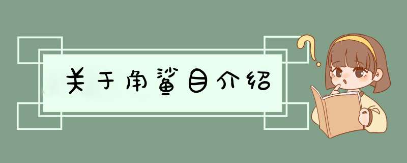 关于角鲨目介绍,第1张