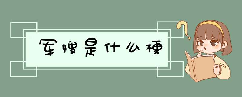 军嫂是什么梗,第1张