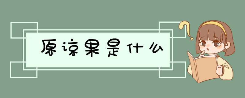 原谅果是什么,第1张