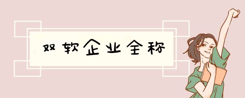 双软企业全称,第1张