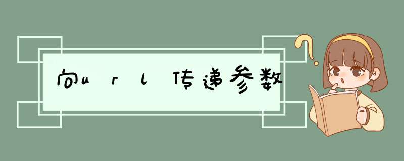 向url传递参数,第1张