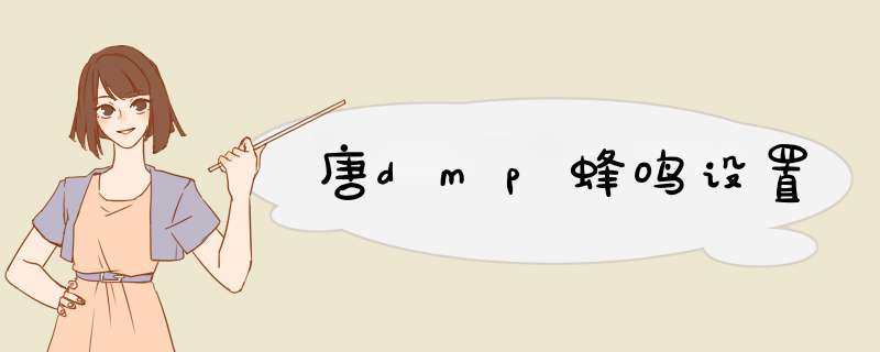 唐dmp蜂鸣设置,第1张