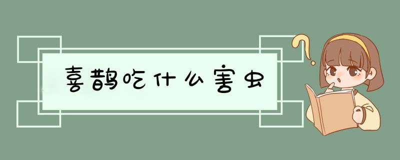 喜鹊吃什么害虫,第1张