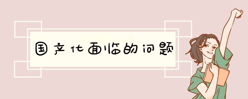 国产化面临的问题,第1张