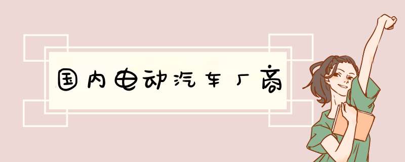 国内电动汽车厂商,第1张