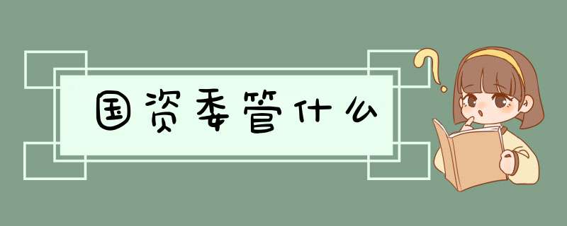 国资委管什么,第1张