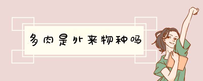 多肉是外来物种吗,第1张