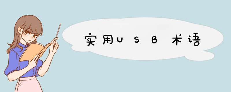 实用USB术语,第1张