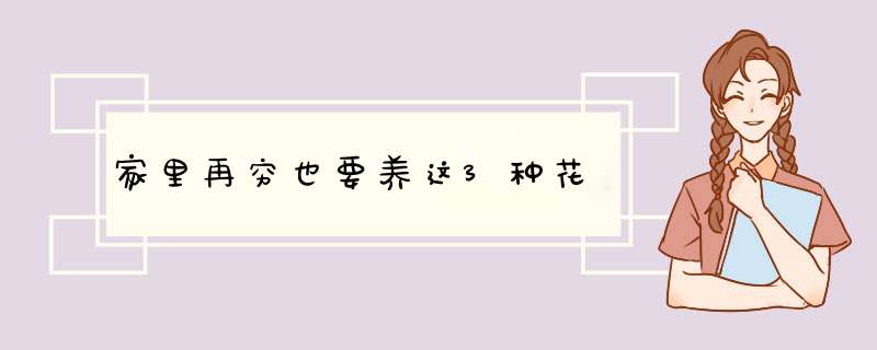 家里再穷也要养这3种花,第1张