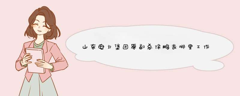 山东电力集团原副总徐鹏去哪里工作了?,第1张