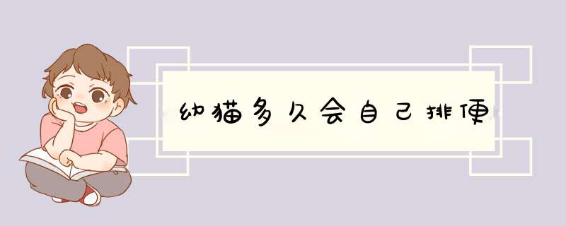 幼猫多久会自己排便,第1张