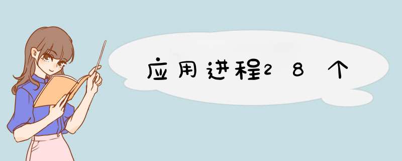 应用进程28个,第1张