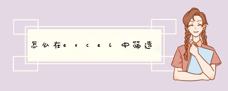 怎么在excel中筛选,第1张