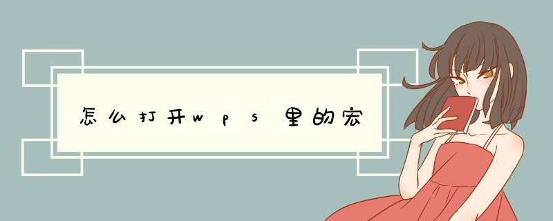 怎么打开wps里的宏,第1张