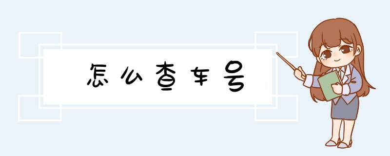 怎么查车号,第1张