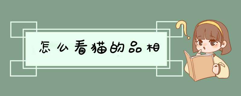 怎么看猫的品相,第1张