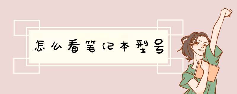 怎么看笔记本型号,第1张