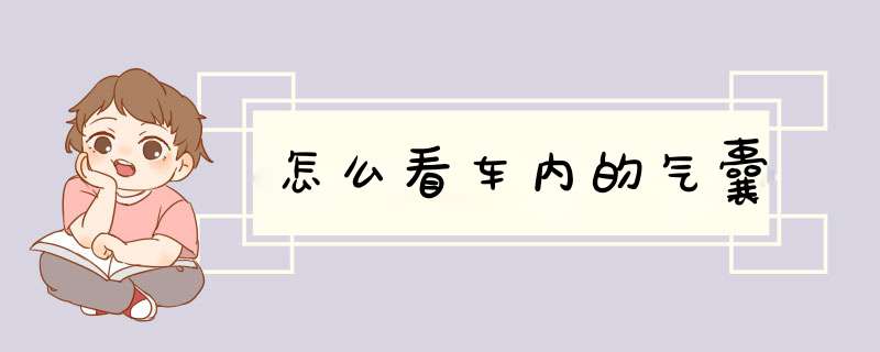 怎么看车内的气囊,第1张