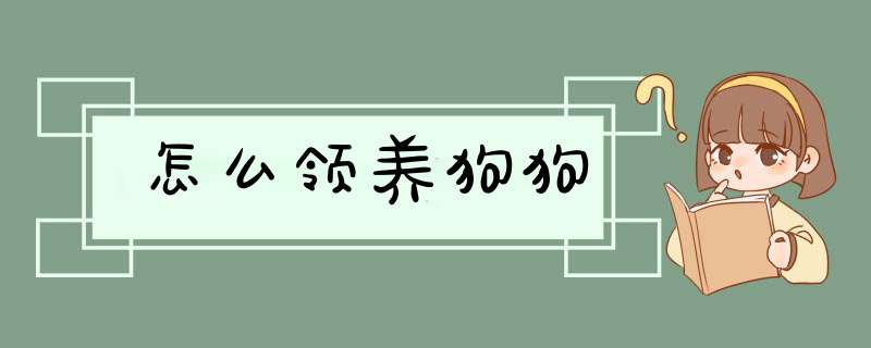 怎么领养狗狗,第1张