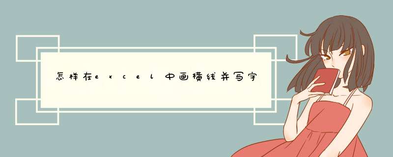 怎样在excel中画横线并写字,第1张