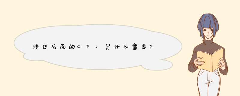 捷达后面的CFI是什么意思？,第1张