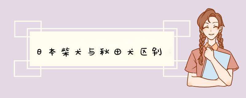 日本柴犬与秋田犬区别,第1张