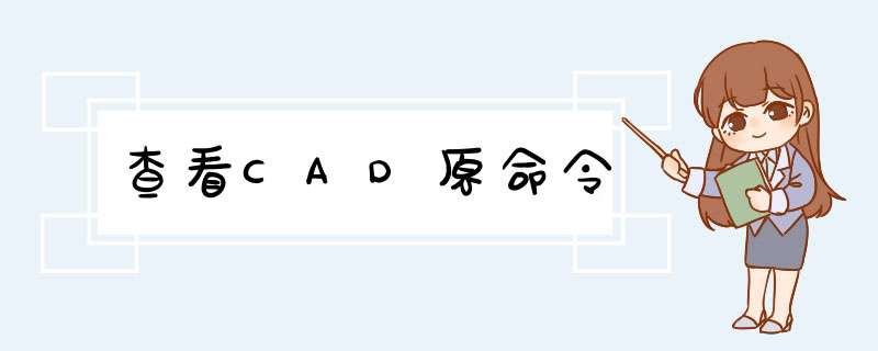 查看CAD原命令,第1张