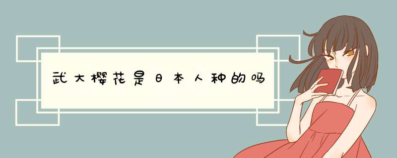 武大樱花是日本人种的吗,第1张